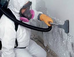 Best Airborne Mold Testing  in Greenville, OH